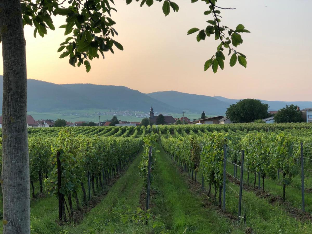 Ferienwohnung Suedpfalz Mit Fernblick Bochingen Екстериор снимка