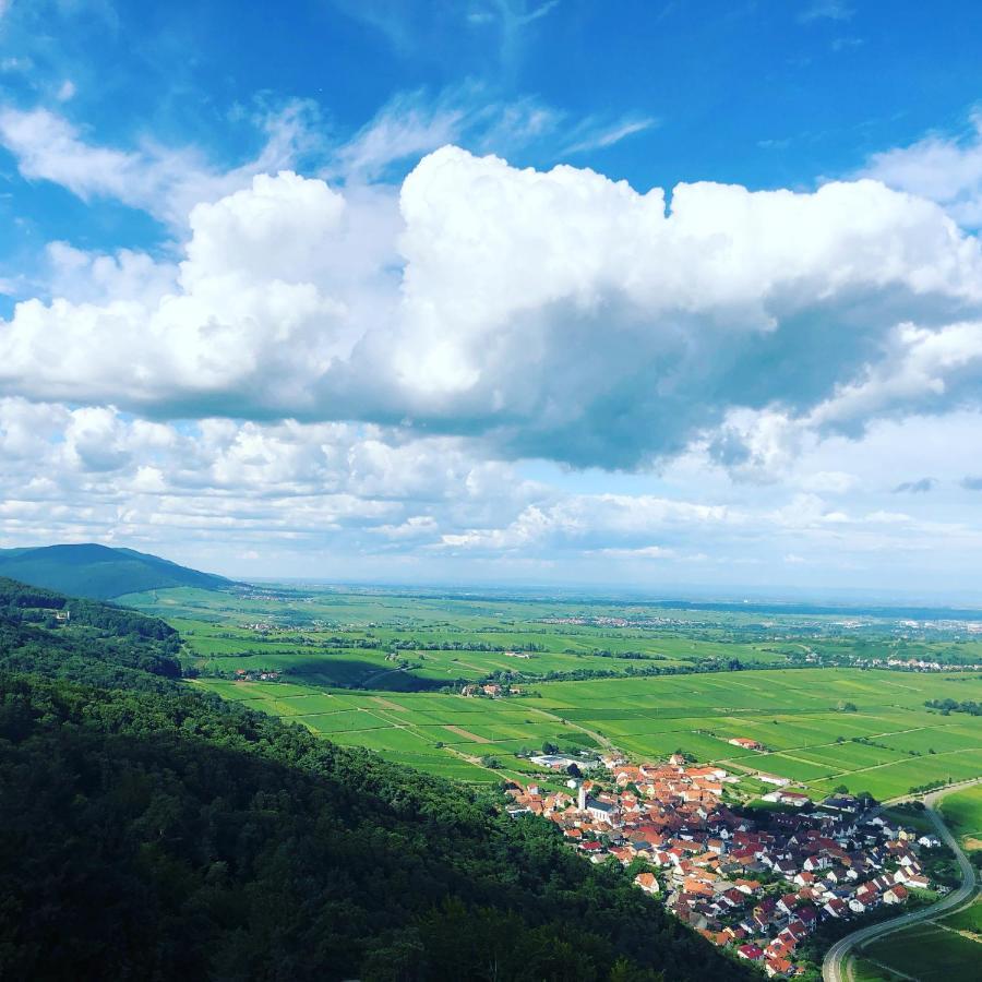 Ferienwohnung Suedpfalz Mit Fernblick Bochingen Екстериор снимка